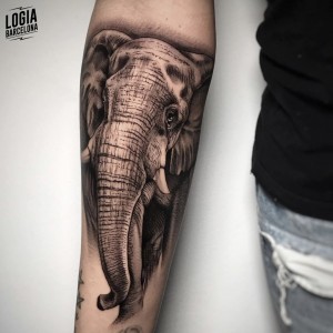 tatuaje_brazo_elefante_pablo_munilla_logiabarcelona 